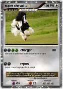 super cheval