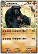 chimpanze