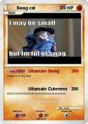 Swag cat 3