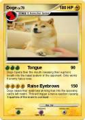 Doge