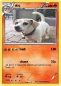 dog