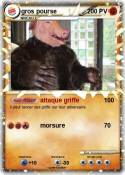 gros pourse