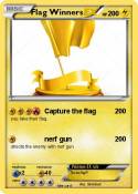 Flag Winners