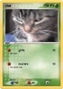 chat