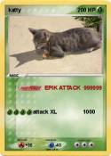 katty