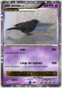 pitit oiseau