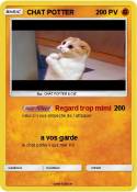 CHAT POTTER
