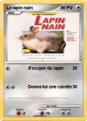 Le lapin nain