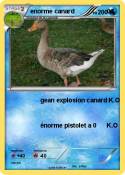 enorme canard 0