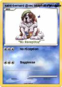 saint-bernard
