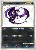 shadow dragon
