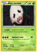 angry pandada