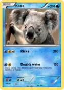 Koala