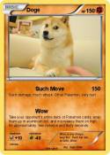 Doge