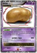 potato