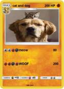 cat and dog