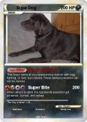Supa Dog