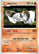 cats ha ha