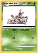 berger allemand