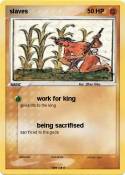 slaves