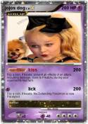 jojos dog