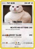 FAT BOB
