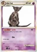 Old Cat