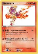 Blaze the cat