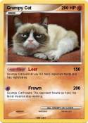 Grumpy Cat