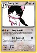 Sunny Cat