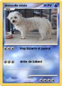 lévroodle