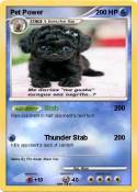 Pet Power