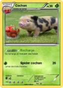 Cochon