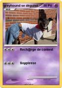greyhound se