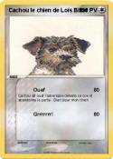 Cachou le chien