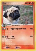 Pug
