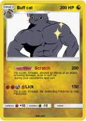 Buff cat