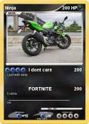 Ninja
