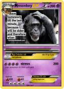monkey