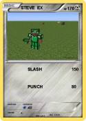 STEVE EX