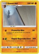Queen Ant