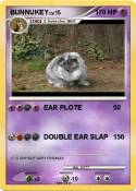 BUNNUKEY