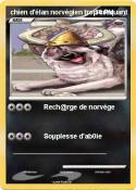 chien d'élan