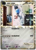 mini ninja