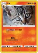 cat