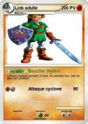 Link adulte