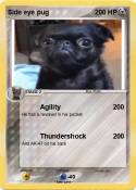 Side eye pug