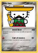Hola Gato