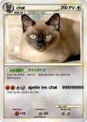 chat