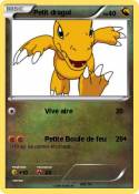 Petit dragol